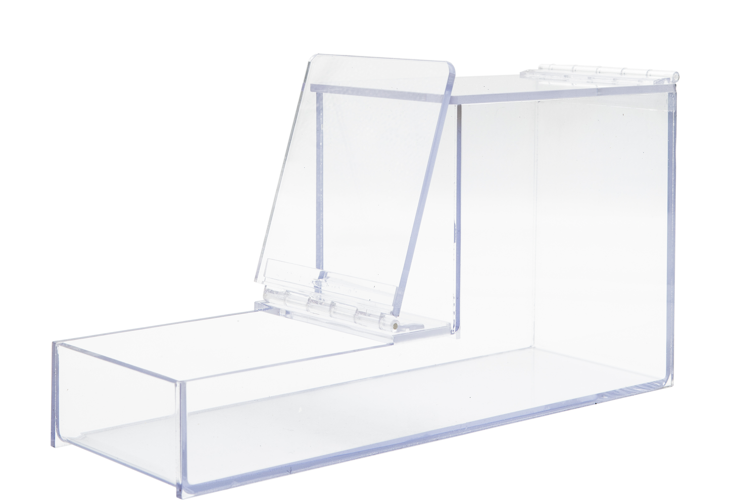 Small Acrylic Bin
